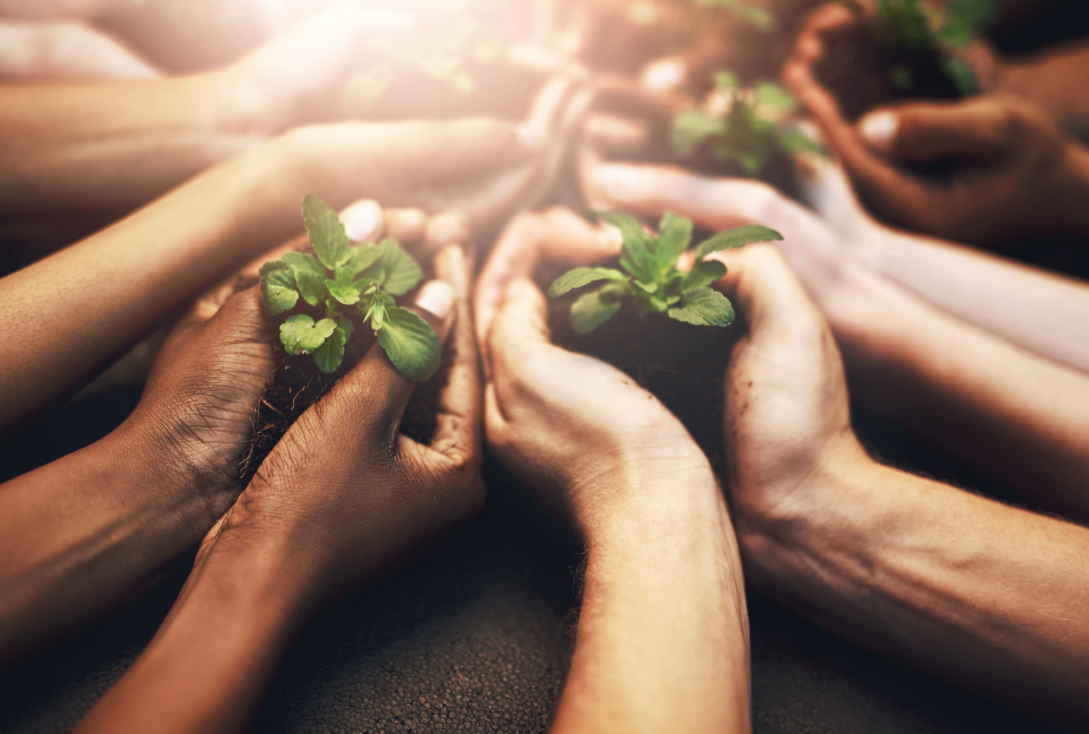 Community Growth